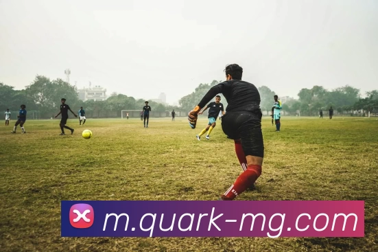 App Interface Preview